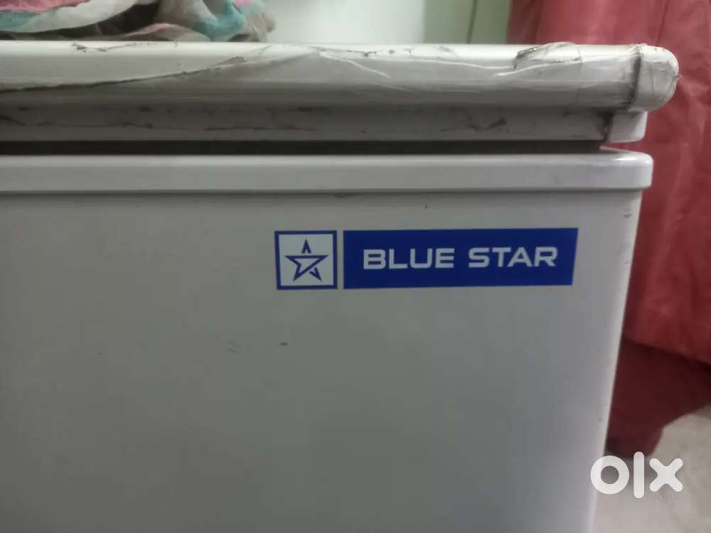 Blue star double door deep fridge