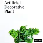 Artificial decorative plant(home delivery available)