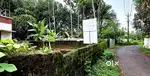 ചേർത്തല നാഷണൽ ഹൈവേ തങ്കി ജംഗ്ഷന് സമീപം