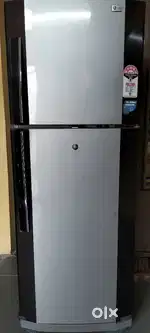 Lg double door