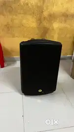 Ashton MAS 15 Passive Speaker