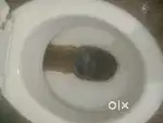 Toilet bowls and wash Basins deep Cleaning Service