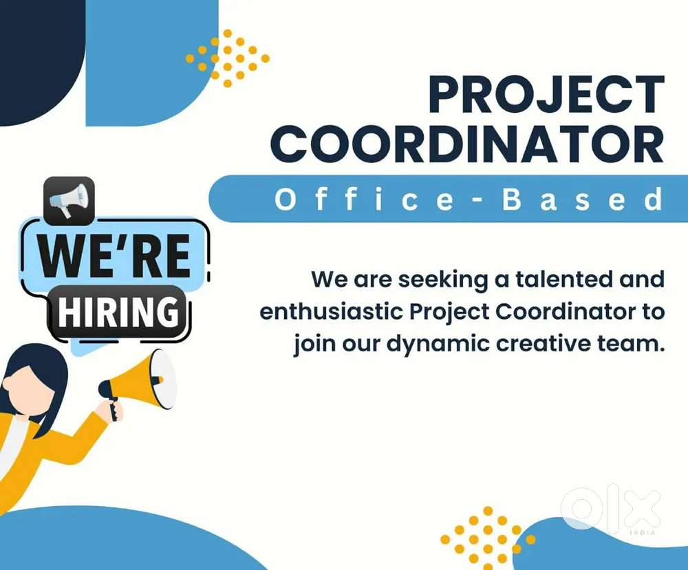 IT Project Coordinator