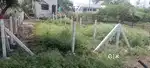 Shriram nagar