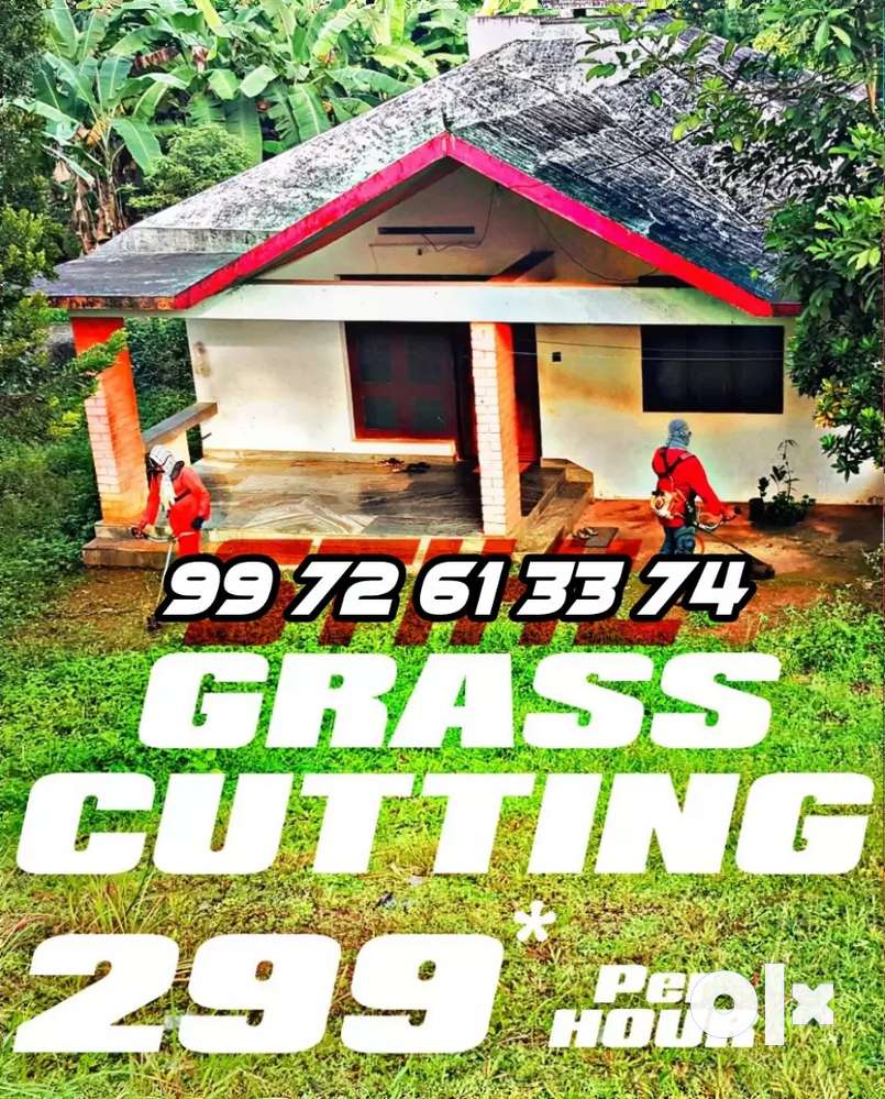 Grass cutting lawn maintenance 289 per hour
