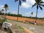 Land / Agricultural land