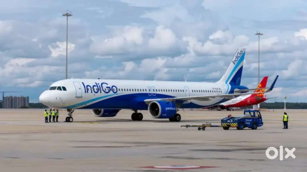 Urgent Hiring male, female both candidates Apply In Indigo Airlines