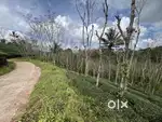 4 ACRE TEA LAND FOR SALE IN IRUMANATHOOR