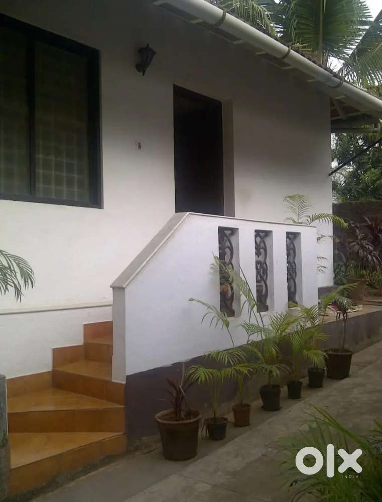 Studio available for  Girls at Balmatta