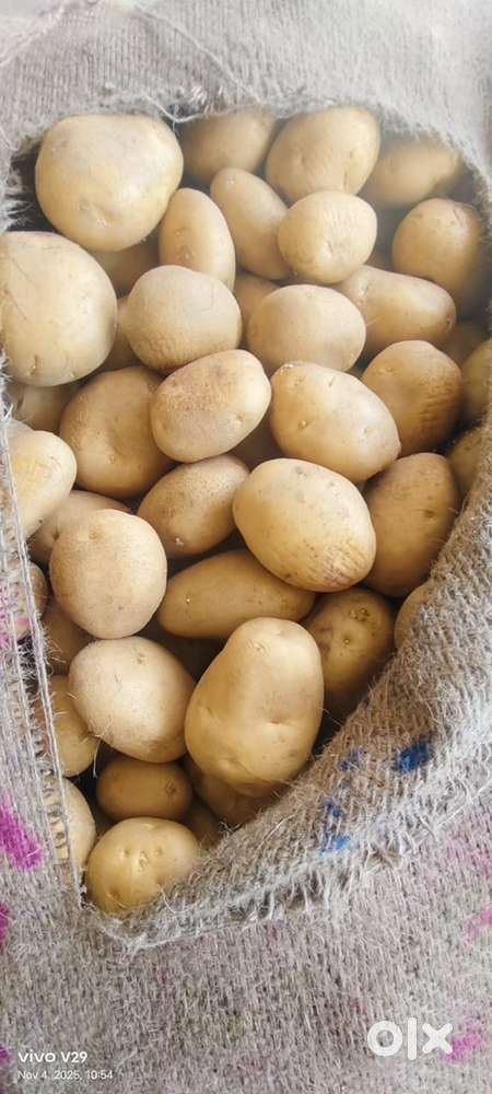 Job at fruits and vegitable market kerala