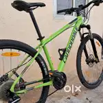 Cannondale, Polygon, and Merida bikes on sale