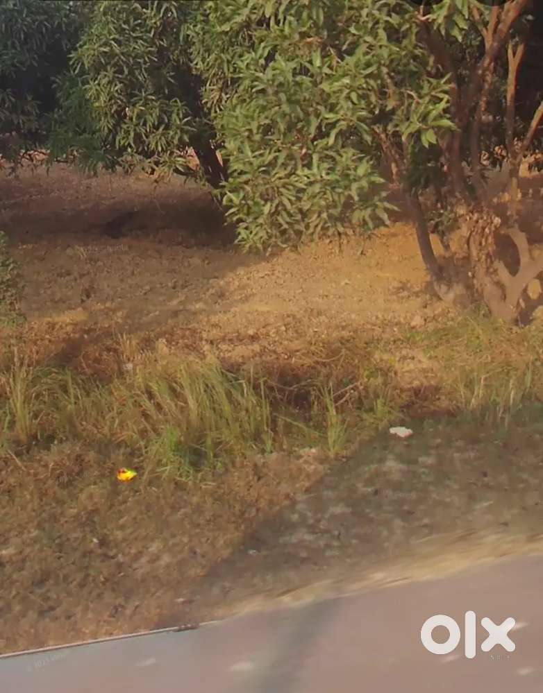Plot on main road