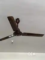 Ceiling Fans 5