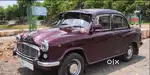 Ambassador 1991 vintage