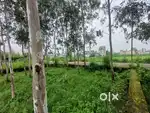 प्लाट फॉर सेल