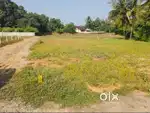 Massive area of house plots are available at Kinassery
