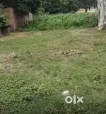 10 Feet roat connected with land