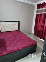 House for rent sector 11