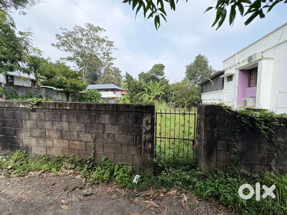 12 Cent Residential Dry Land For sale Kudapanakunnu ST.Thomas School