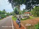 Halwa shape plot for sale in Njaliyakuzhy kavala
