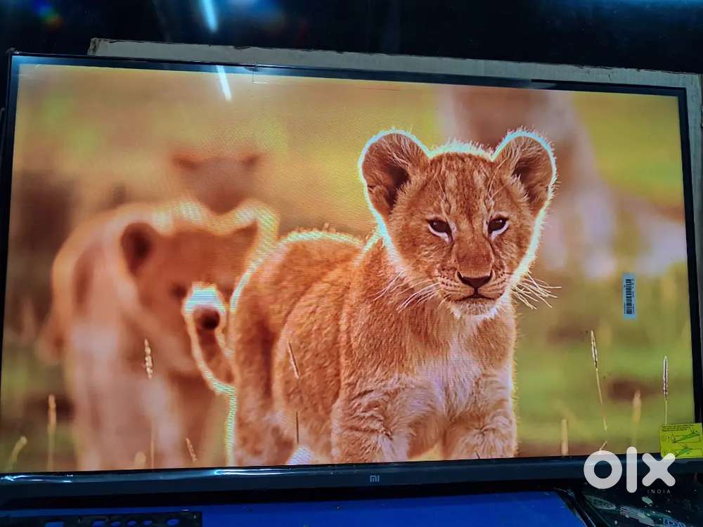 Mi smart tv 32in