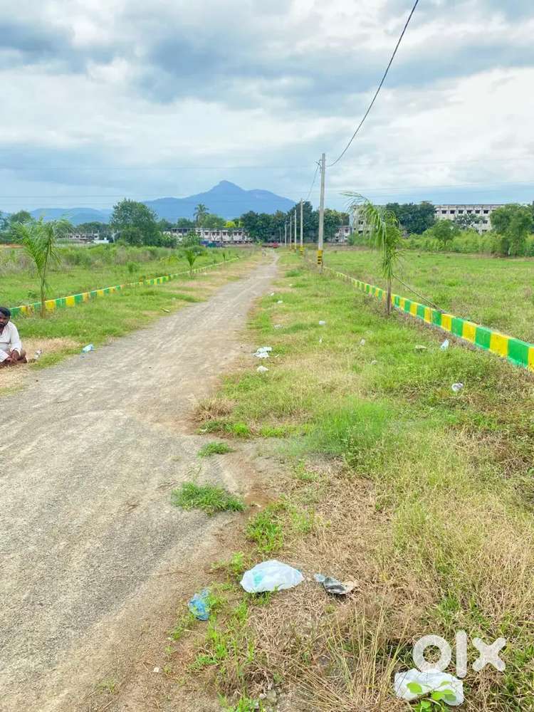 Road side plots for sale in Rayagada town