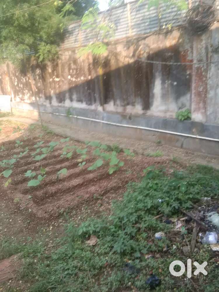 Nanda nahar sukanta pali