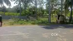 Semi Commercial Land for sale @ Mutyalampalem Main road, Parawada