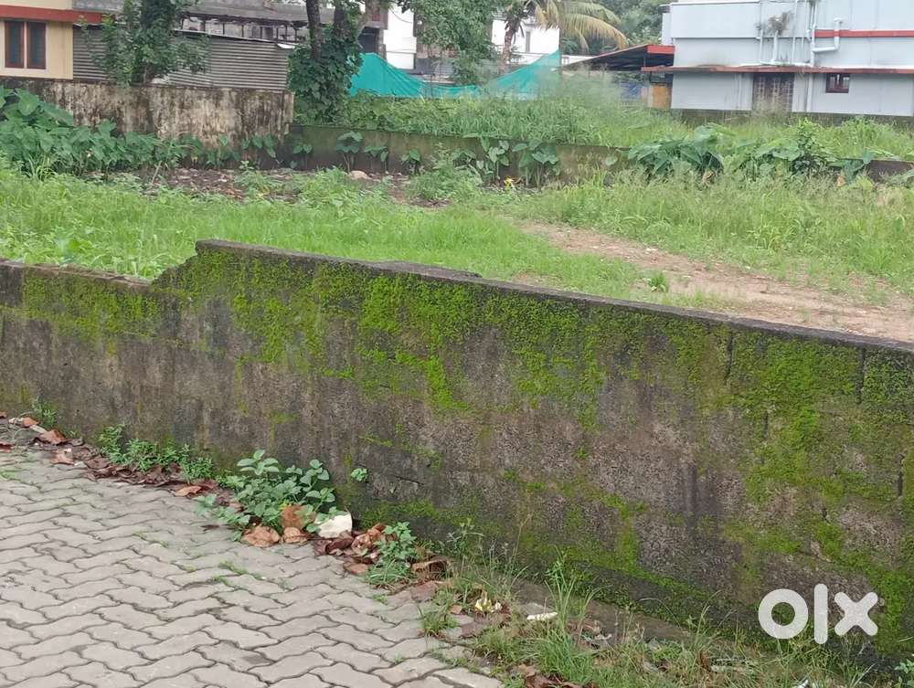 7 cent residential plot for sale gandhi square maradu