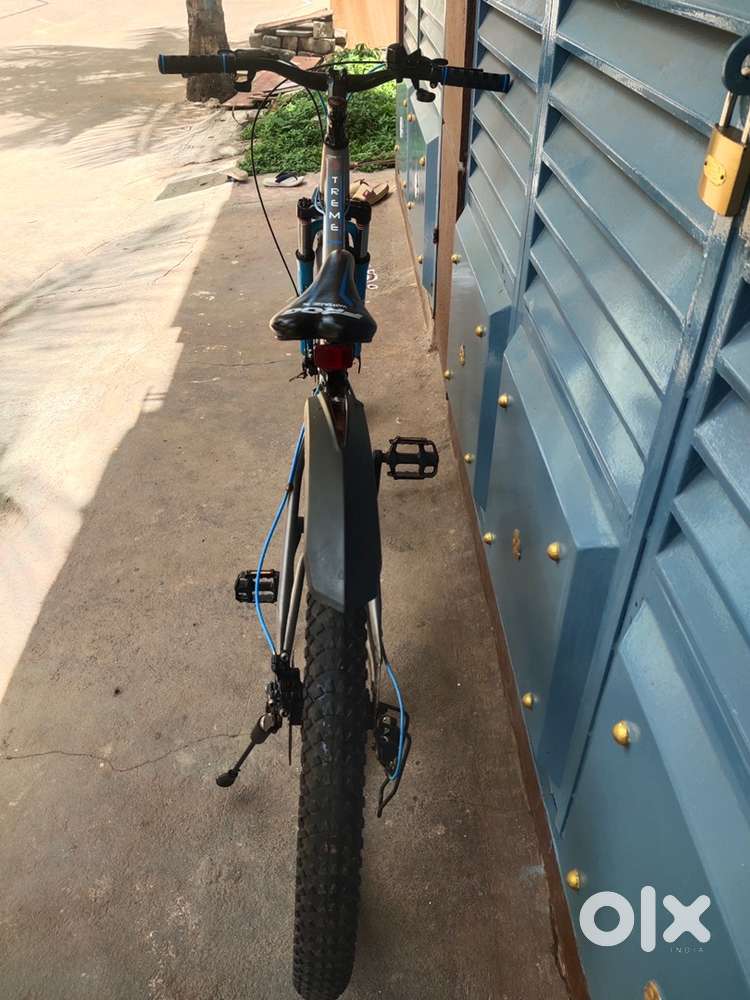 Frog bicycle
