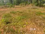 Land for sale in Adoor, Kadampanad