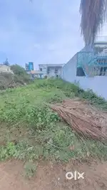 293 Square yards plot available at Tekkali Railway Station, Tekkali