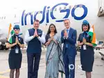 Job in indigo airlines 2025