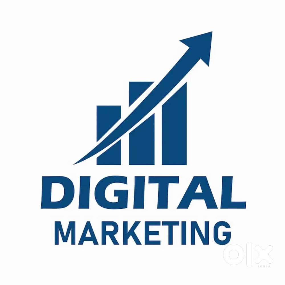 We are hiring digital marketing executive