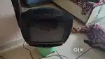 Television (T.V.)