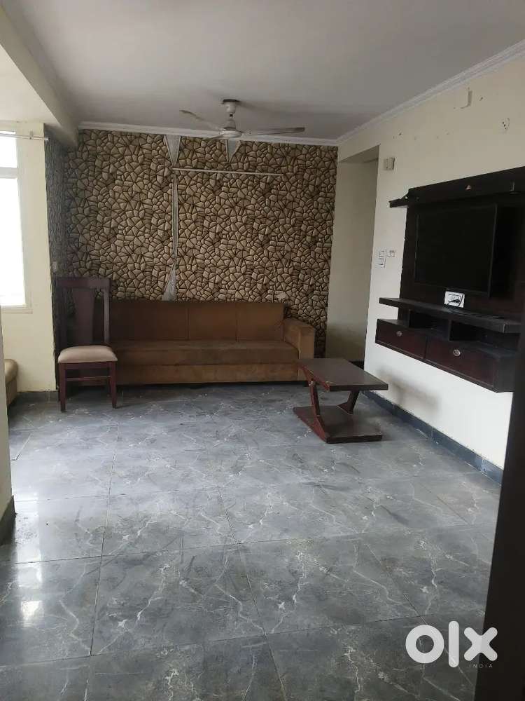 3 BHK fully furnished and luxury property