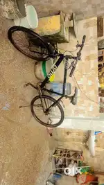 Omo bicycle