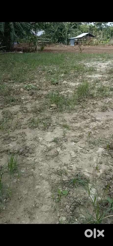 block  D চাদমারি বাজার থেকে 4 মিনিট হাট আ পথ