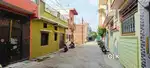 Makronia ankur collony