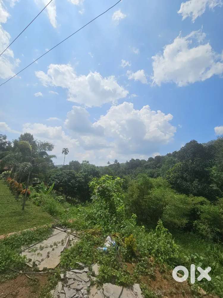 2 acres Land at karuvanchal Palakkayam Thattu