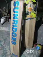 Kahmir willow +natured willow