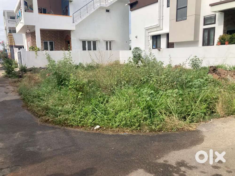 North East corner plot for sale in Chinnavedampatti