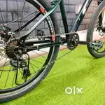 7gear cycle with suspension fully modified and two disc brakes.