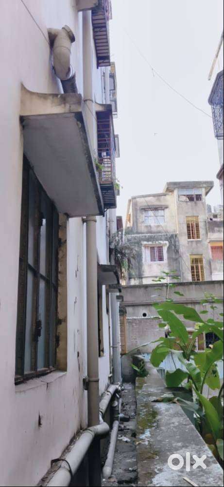2 BHK Apartment in Alipore