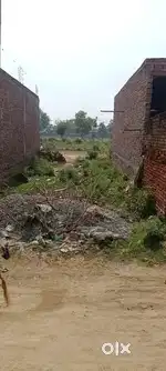 Argent sel hai