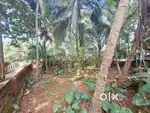 5.9 cent land at 10 lakhs per cent
