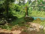 Pampady 10 cent house plot.1.50 .lakh.