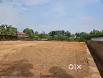 18.6 cent House plot for sale