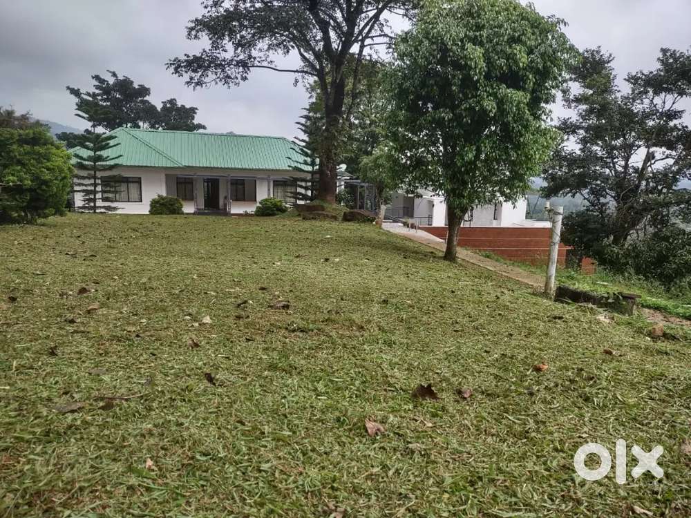 wayanad home stay for rent