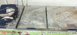 Deep freezers